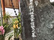 topology̐S᎛̓eʐ^1