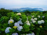 񂳂̂[hiORXJCCj̓eʐ^1