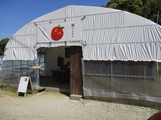 �n�E�X����t�ł̓W���[�X���̔�����Ă��܂����B�߂��ɋi���X���ł��邻���ł��B_�����@��{�_��