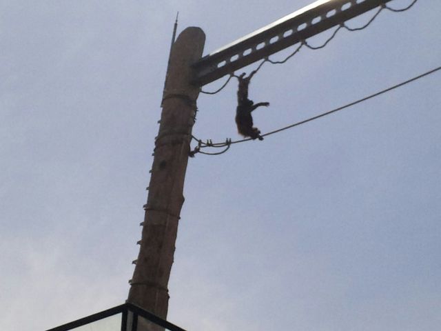 ���R������_���R������