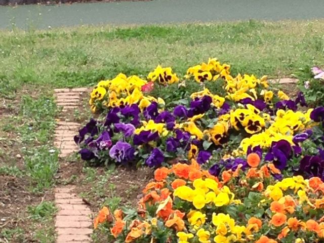 �Y��ȉԒd_���c����q��L�O����