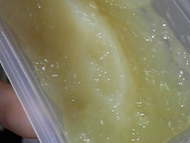 ����ƁA�[���[������܂����B_�҂��҂��Ɂ@�w�O�X