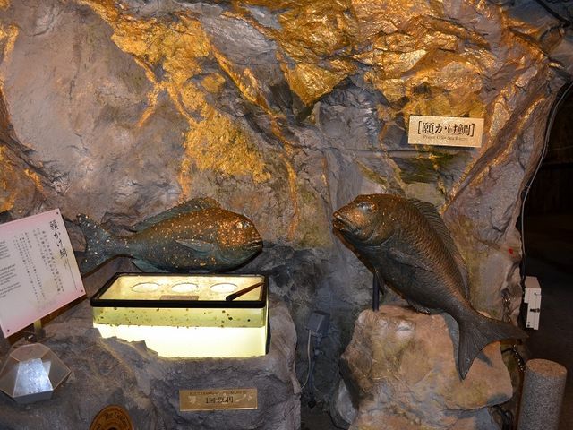 ���񂾋��̑��Ԃ��āI_�n�ꔎ���ّ␶���R