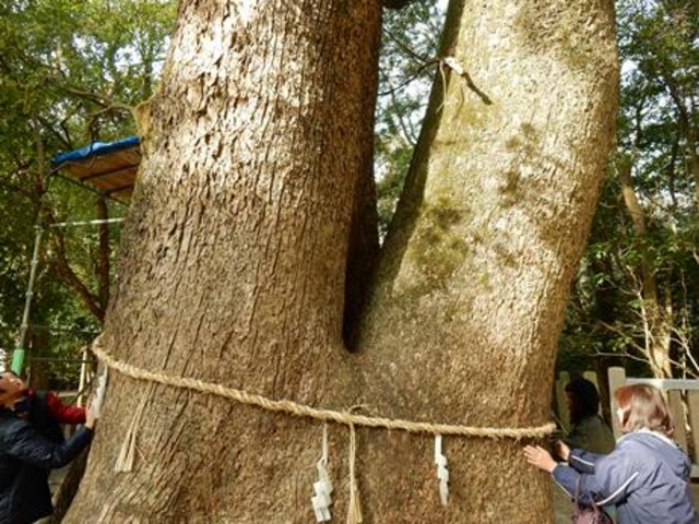 �v�w���_�ɜQ���_�{�̕v�w��