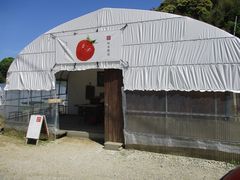 ҂҂悳̎@{_ւ̓eʐ^1