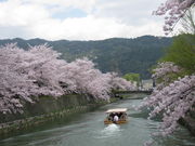 TATK̉肳E킩ΉL\ΏM߂iLCgAbv\ΏM߂j̓eʐ^1