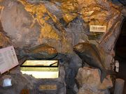 񂳂̒nꔎّ␶R̓eʐ^2