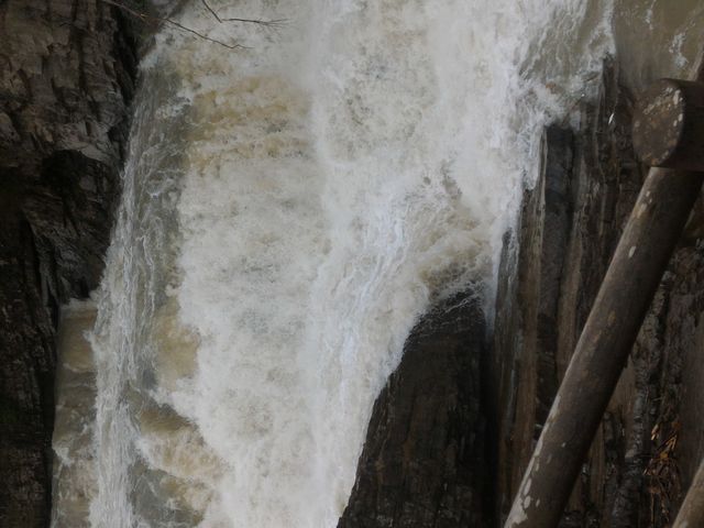 �O�i�̑�_�O�i��