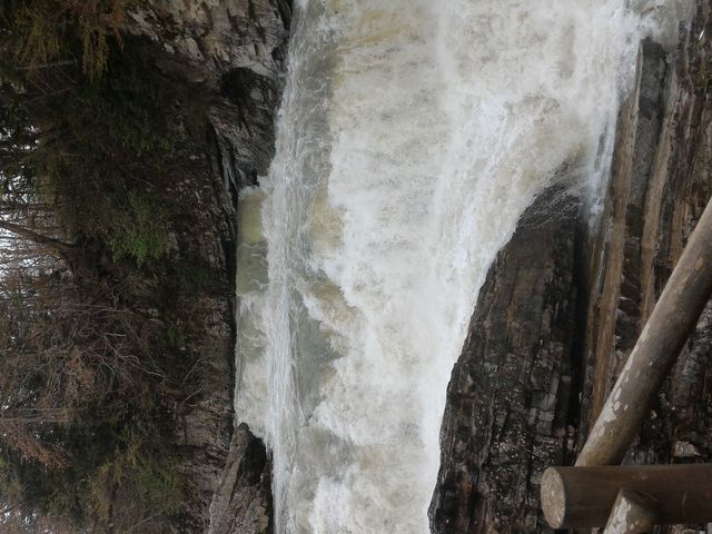 �O�i�̑�_�O�i��