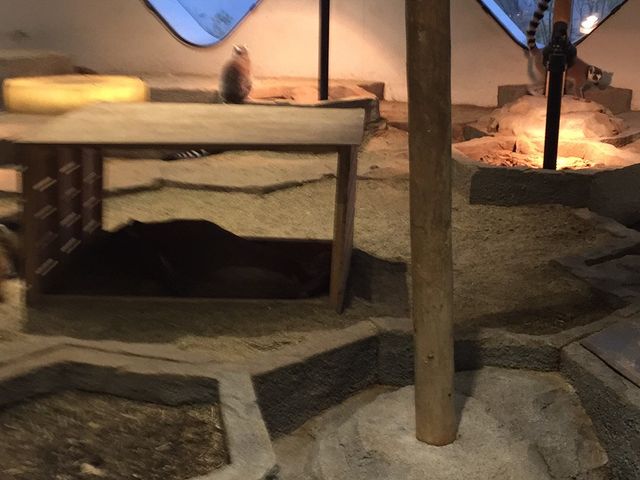 �B�e�\�ȃ]�[��������܂��B�����̂ق����f�R�����ł���B_NIFREL�i�j�t�����j