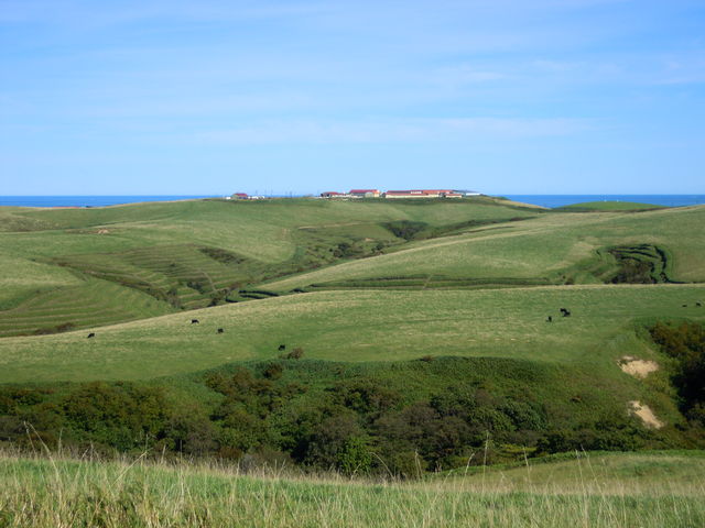 ��������H�ދu_�@�J�u�ˎ��X�͒n�`