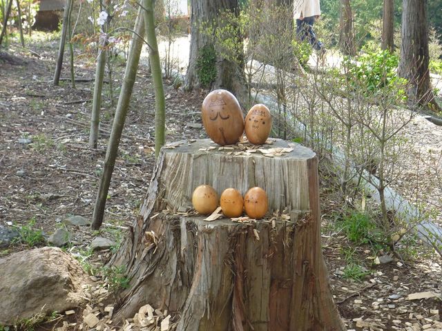 �L�R���̐X�̐؂芔_�O���X�J�C�E�H�[�N