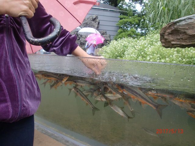 a_͐ӂꂠȊwف@ANAE݂͂