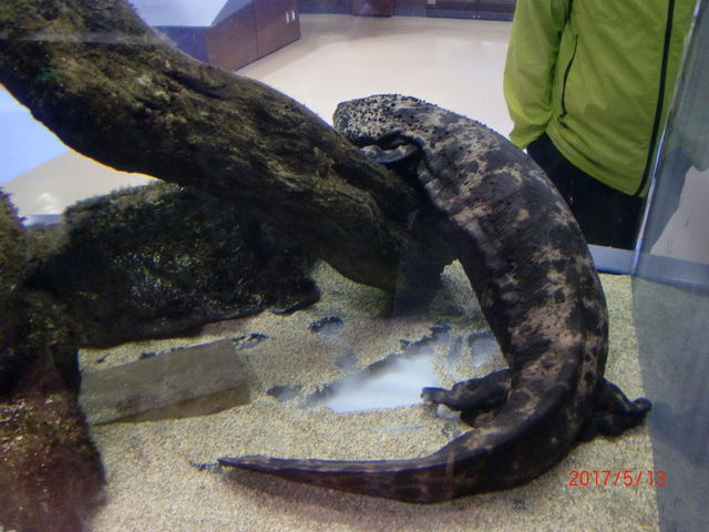 Riłj_͐ӂꂠȊwف@ANAE݂͂