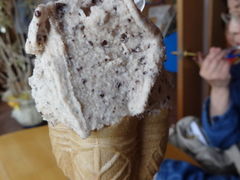 {qC^AWF[gACXH[̎ʐ^1