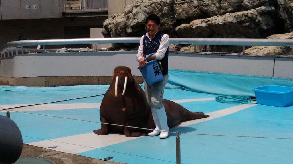 大分マリーンパレス水族館「うみたまご」