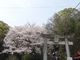 ぷにさんの鷲尾愛宕神社の投稿写真1