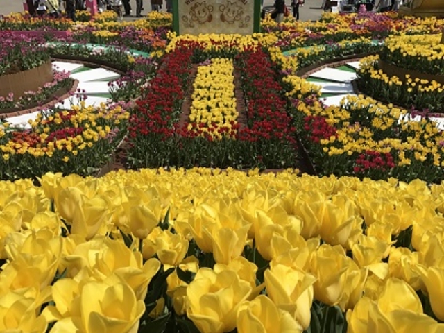 �`���[���b�v_�v�g����̃`���[���b�v��