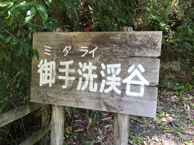 yoshi����̌���k�J�̓��e�ʐ^1