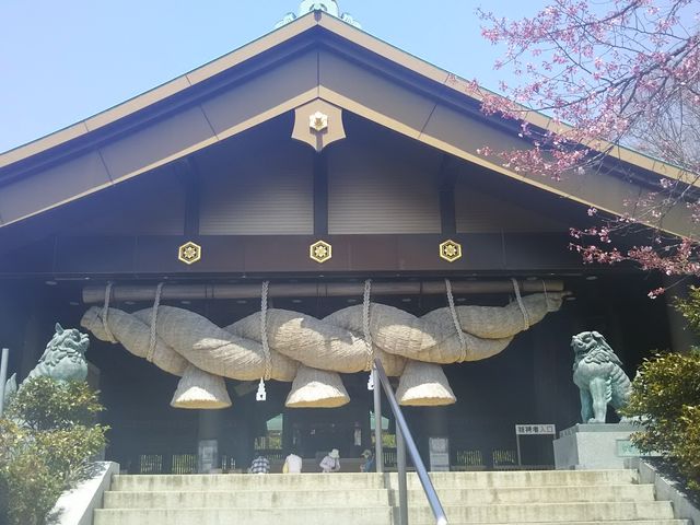 �o�_���_�헤���o�_���