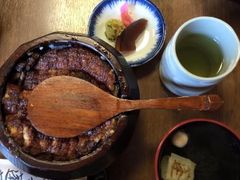 Ȃ̂H@_{Xւ̓eʐ^1