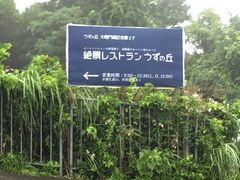 yoshi̐iXg ̋uւ̓eʐ^1