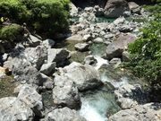 yoshi����̌���k�J�̓��e�ʐ^2