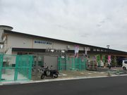 panchan̓̉w ݂ ̓eʐ^1