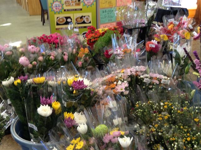 ς̉_̉w \ ܂߂ł炪`