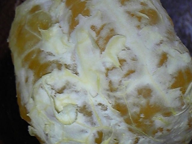 傭̋y Ώ  wOX̓eʐ^1