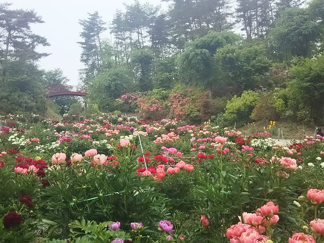 򒹂̑K̂̓eʐ^1