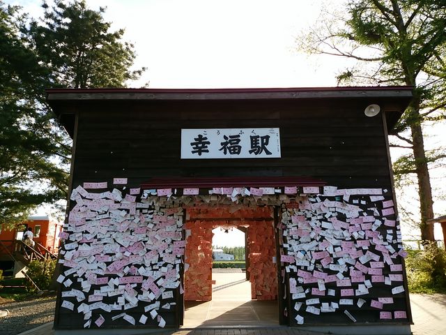 �w�̑ҍ���������������_�K���w�i�K���S�������j