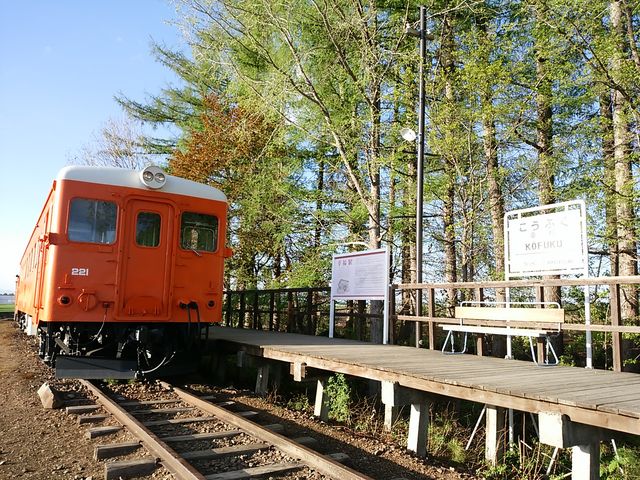 �~�܂����܂܂̗�ԁ@�������Ǝʐ^�B�e���o���܂�_�K���w�i�K���S�������j