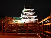 SNOOPY̖nijفj̓eʐ^1