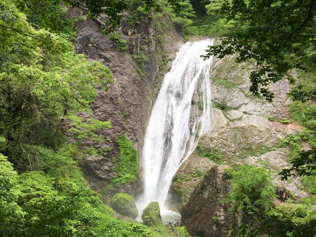 �����A�؁X�̊Ԃ��猩���Ă���_�郖��