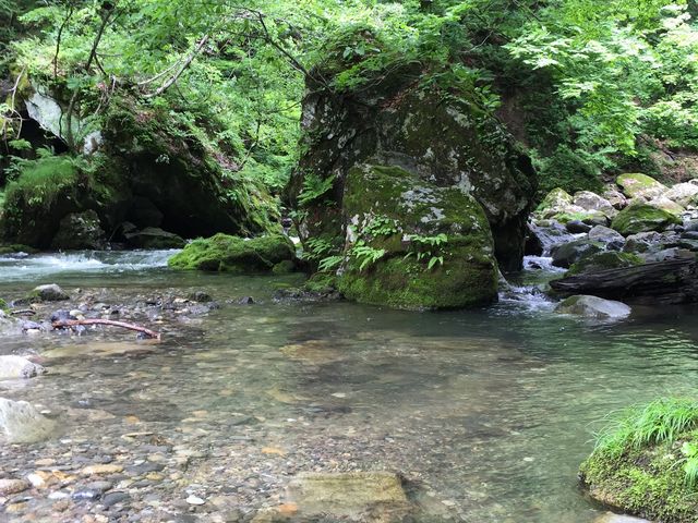 �r���̌k����������_�郖��