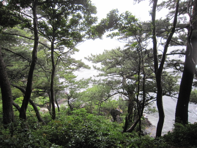 ���R�������ς��ł��B_�郖�莩�R�����H