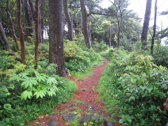 ���R�ɐG��Ȃ�������܂����B_�郖�莩�R�����H