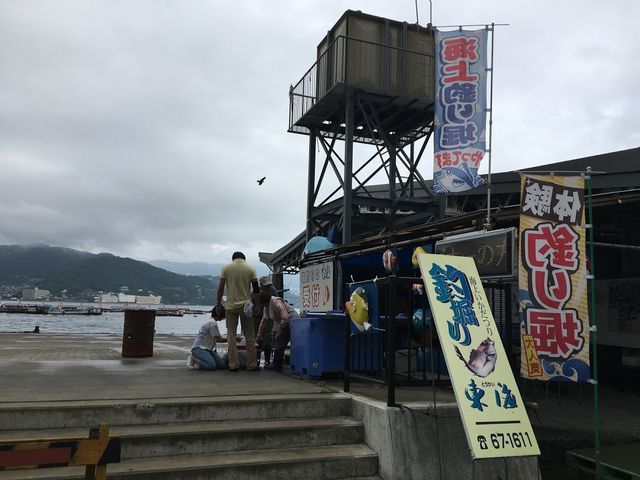 ����_�C��ޖx�@���ނ�̓��C