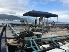 񂳂̊Cޖx@ނ̓Cւ̓eʐ^1