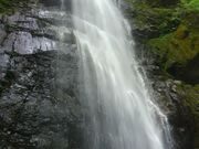 ʂ܂񂳂̕Sqm̓eʐ^1