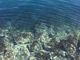 ミネミネさんの【2021年海水浴場不開設】熱海サンビーチの投稿写真1