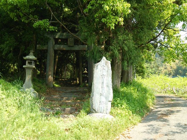 ̒B̉EɁuEǏՁvΔ_VǕz_