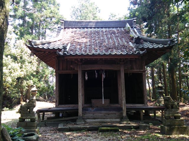 Ȑ{BEǏՂ炵̂͌炸_VǕz_