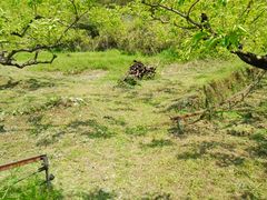 Ol̖VǕz_Ђւ̓eʐ^3