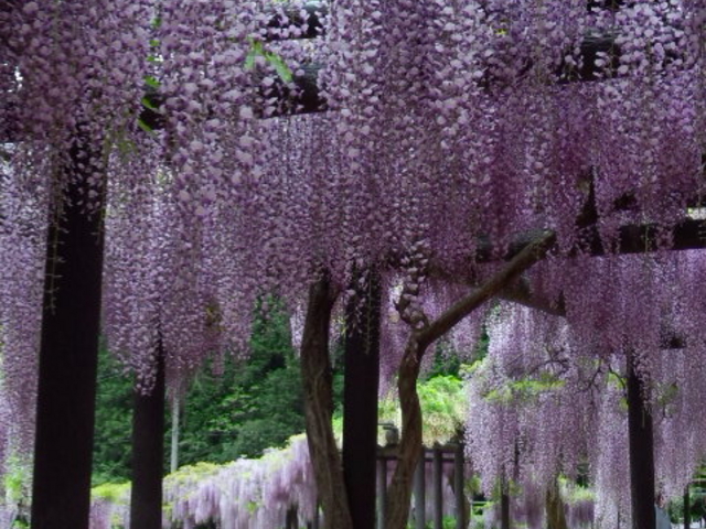 ����咬������_����咬������