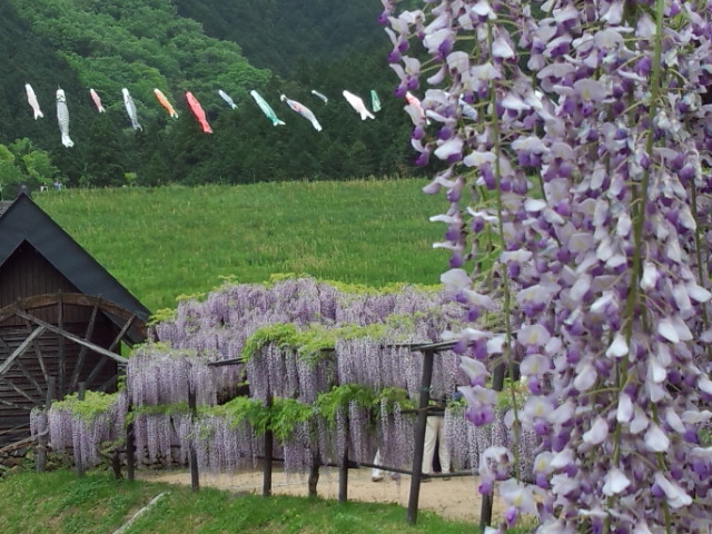 ����咬������_����咬������