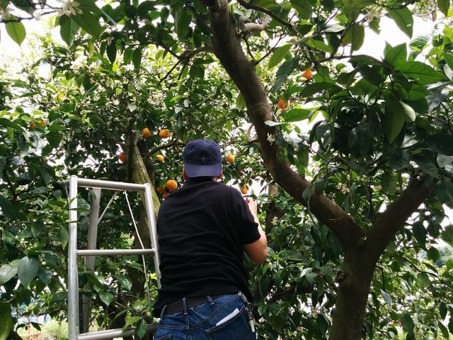 �Â��I�����W���H�ו���_��̌���