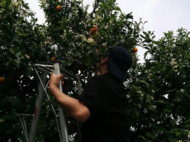 ���y�Y�p�ɍw�����邱�Ƃ��ł��܂�_��̌���