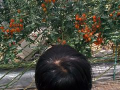 ނ̂ǂEEH[^[Et@[ւ̓eʐ^2